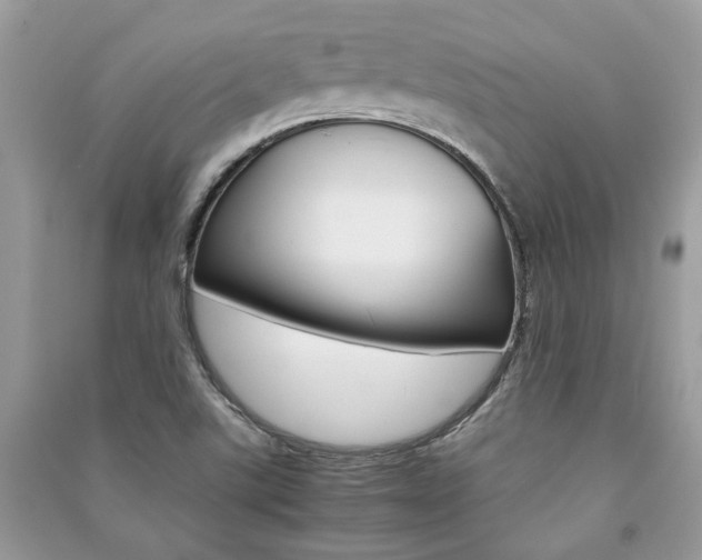 X0000091181507200708091035