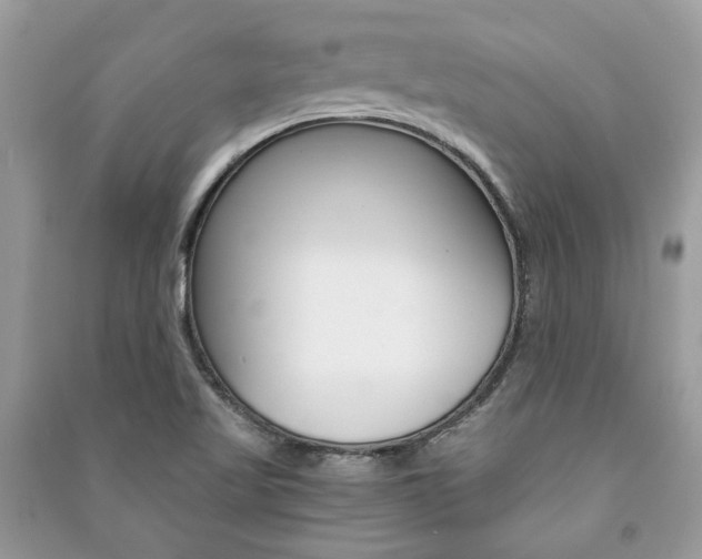 X0000091181509200708091035