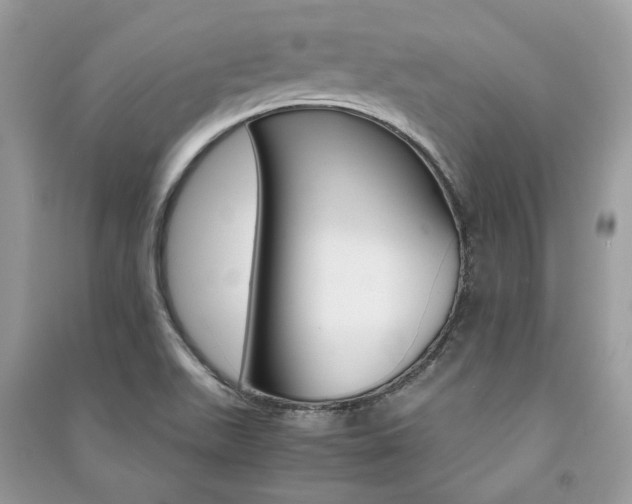 X0000091181511200708091035