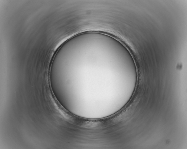 X0000091181513200708091035