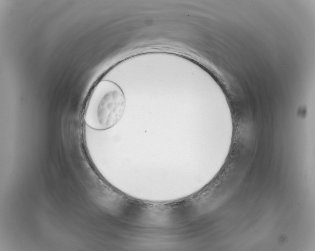 X0000091181514200708091035