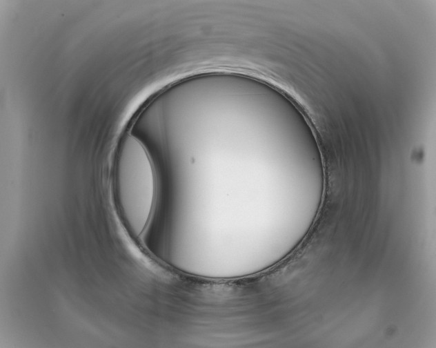 X0000091181515200708091035
