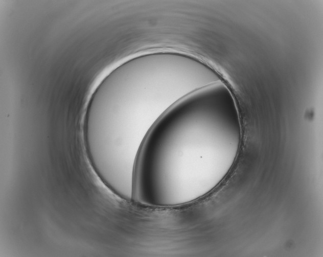 X0000091181516200708091035