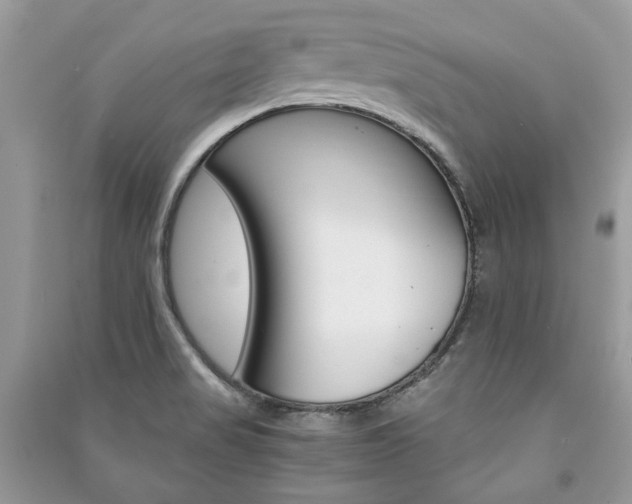 X0000091181517200708091035