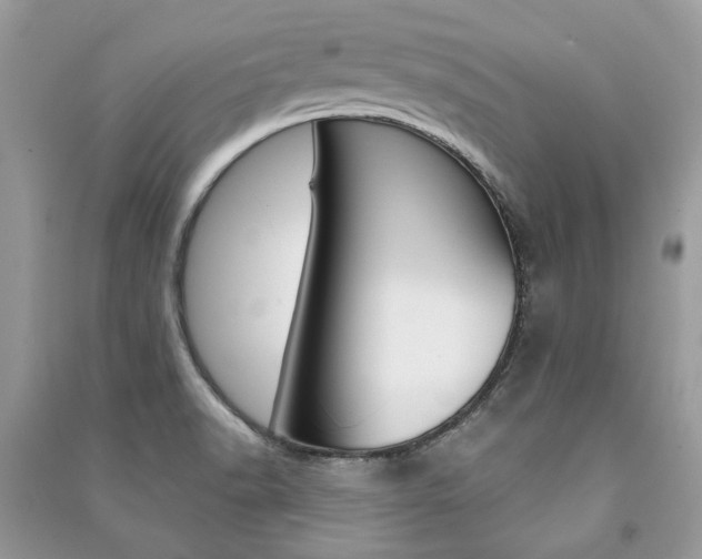 X0000091181518200708091035