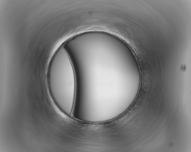 X0000091181519200708091035