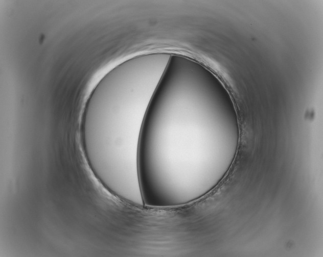 X0000091181520200708091035