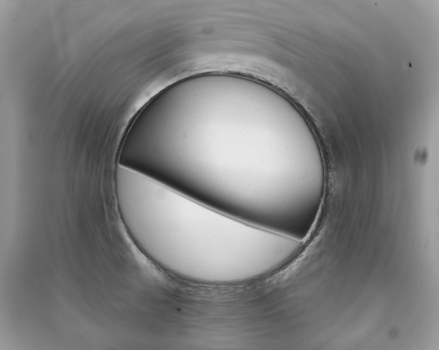 X0000091181521200708091035