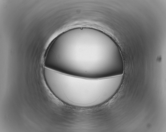 X0000091181522200708091035