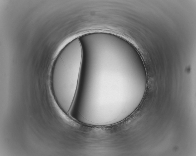 X0000091181523200708091035