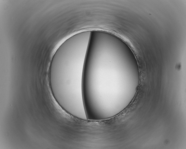 X0000091181524200708091035