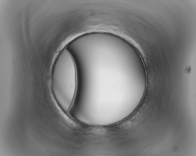X0000091181525200708091035