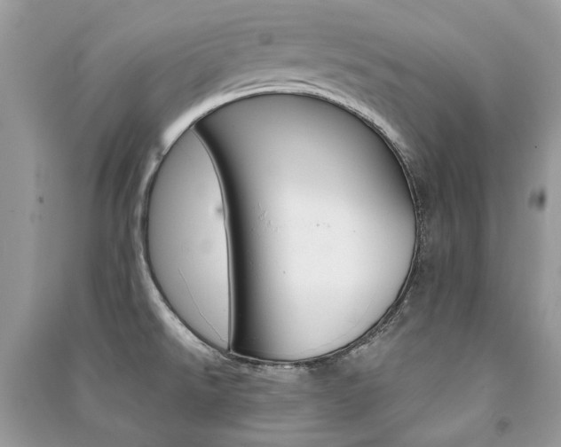 X0000091181526200708091035