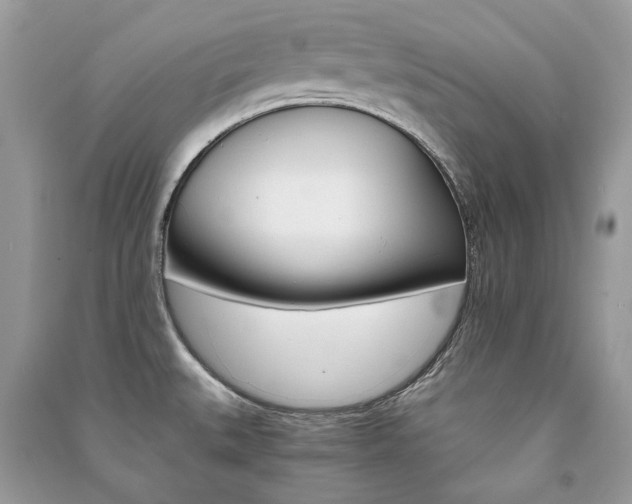 X0000091181527200708091035