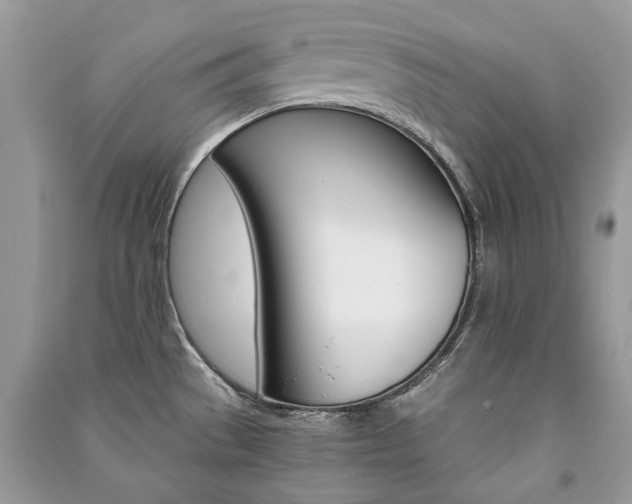 X0000091181529200708091035