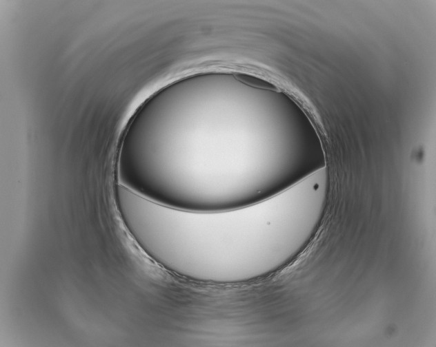 X0000091181530200708091035