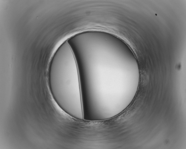 X0000091181531200708091035