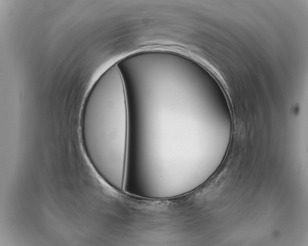 X0000091181533200708091035