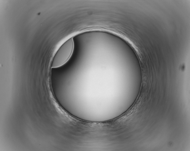 X0000091181534200708091035