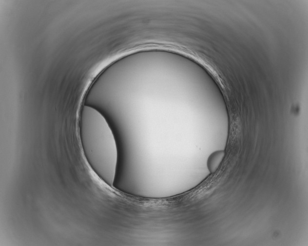X0000091181535200708091035