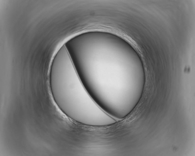 X0000091181536200708091035