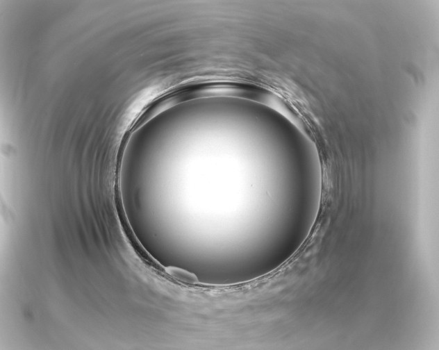 X0000091180003200708091230