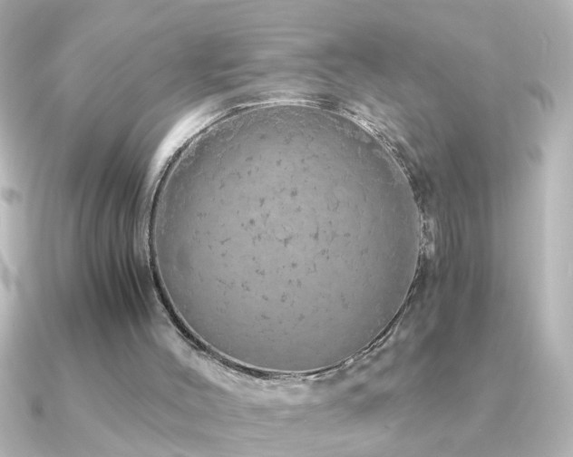 X0000091180004200708091230
