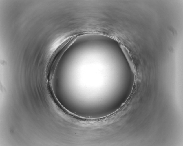 X0000091180005200708091230