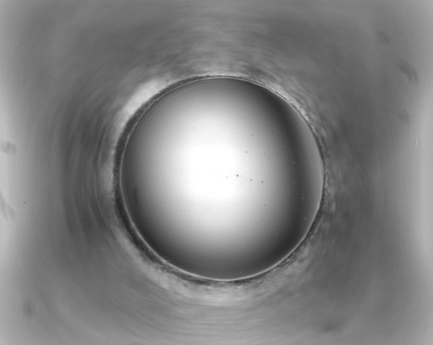 X0000091180008200708091230