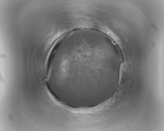 X0000091180009200708091230