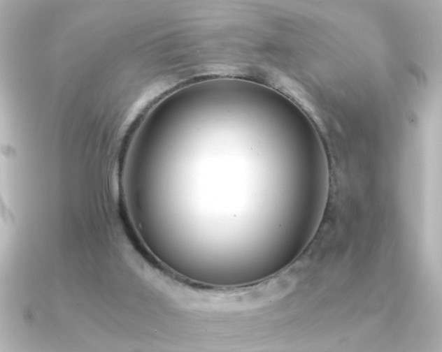 X0000091180011200708091230
