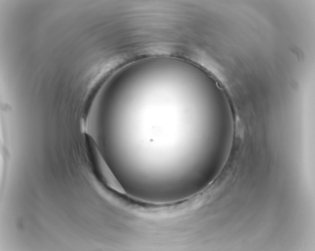 X0000091180013200708091230