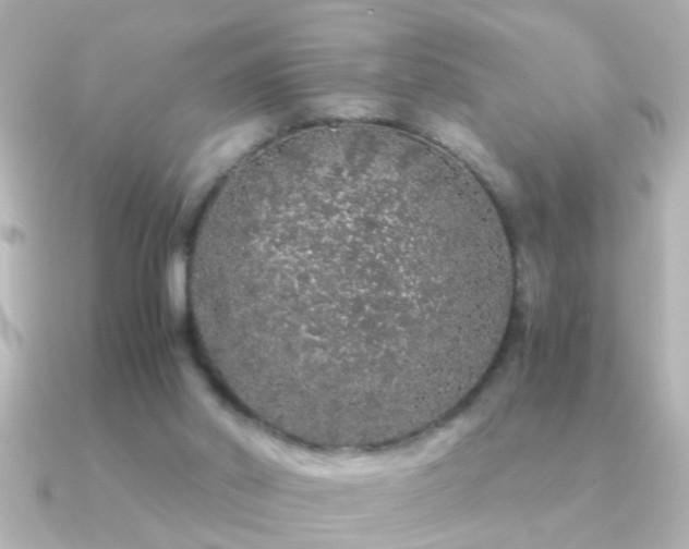 X0000091180014200708091230