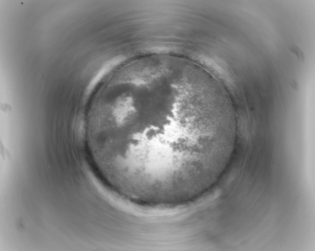 X0000091180016200708091230