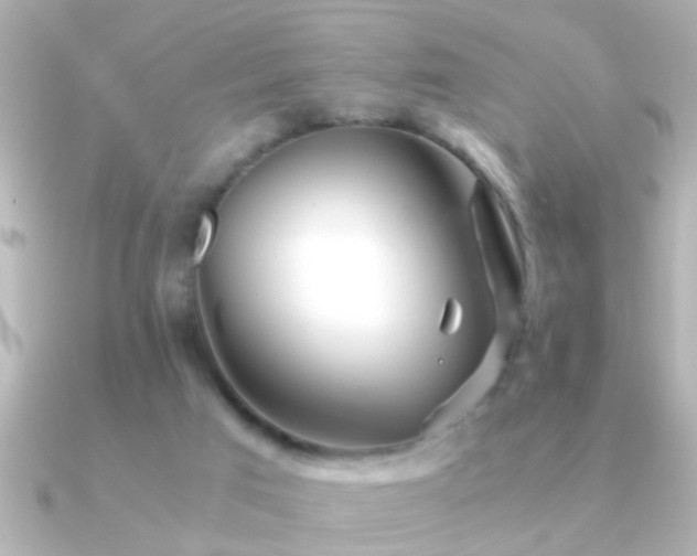 X0000091180017200708091230