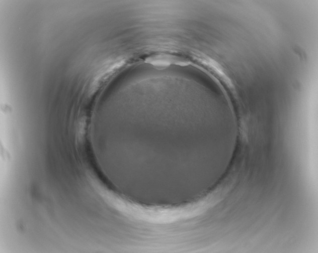 X0000091180018200708091230