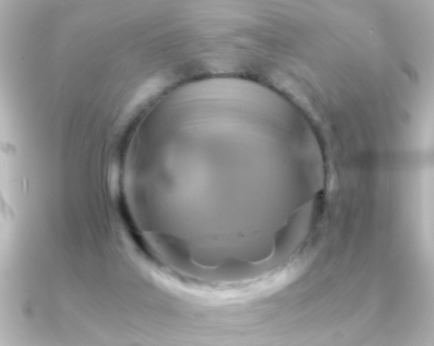X0000091180019200708091230