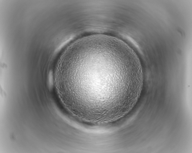 X0000091180020200708091230