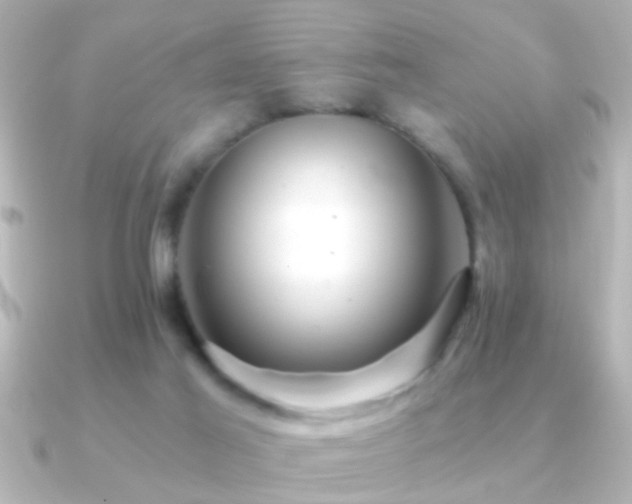 X0000091180021200708091230