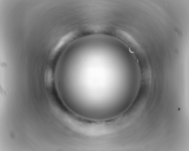 X0000091180024200708091230