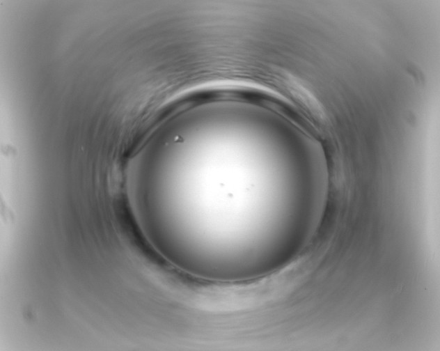X0000091180025200708091230