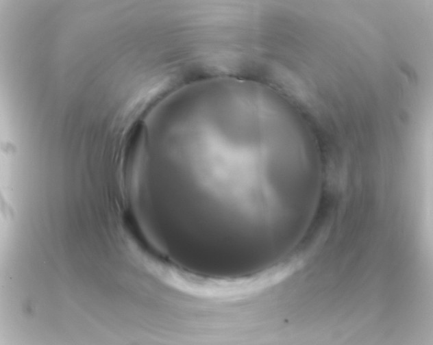 X0000091180027200708091230
