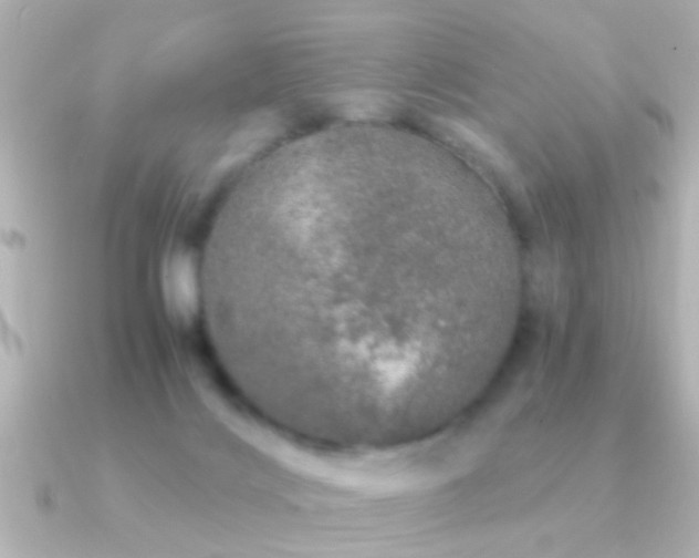 X0000091180028200708091230