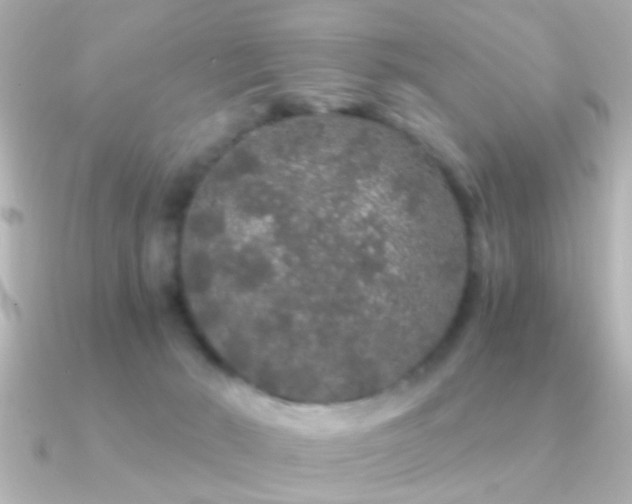 X0000091180030200708091230