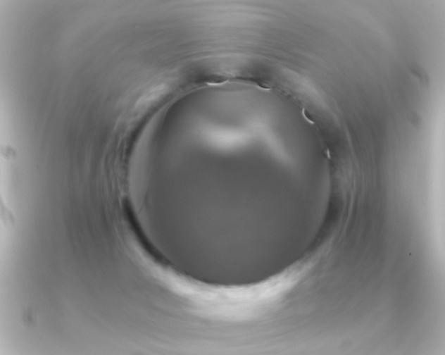 X0000091180031200708091230