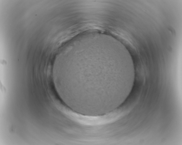 X0000091180034200708091230