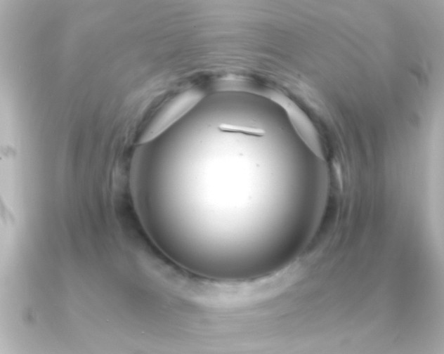 X0000091180037200708091230