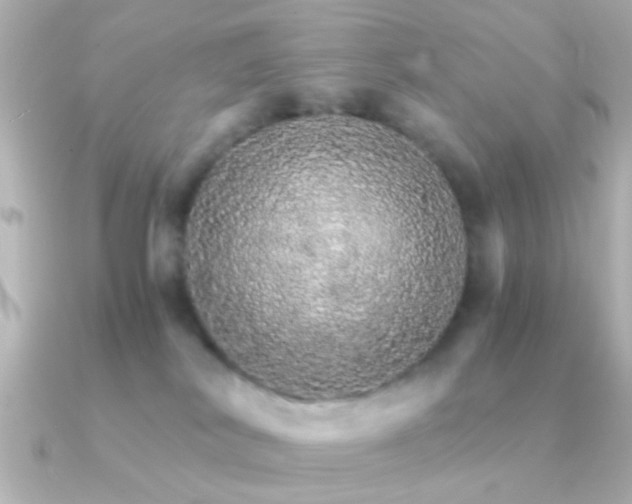 X0000091180038200708091230