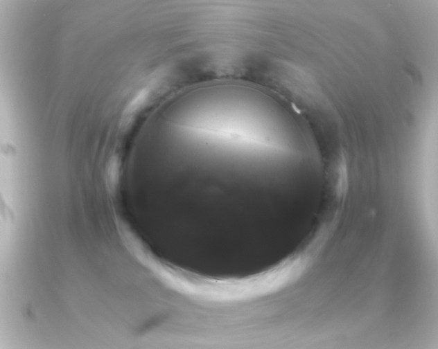 X0000091180039200708091230