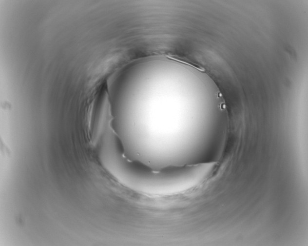 X0000091180041200708091230